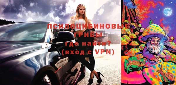 прущие грибы Семёнов