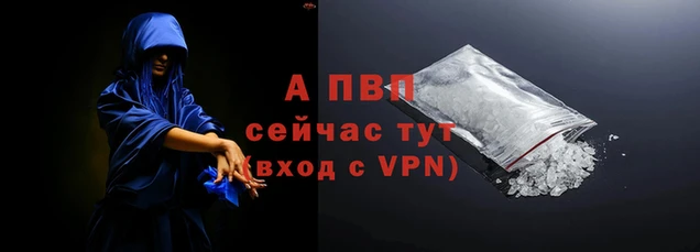 прущие грибы Семёнов