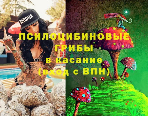 крисы Семилуки