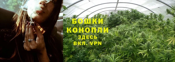 крисы Семилуки